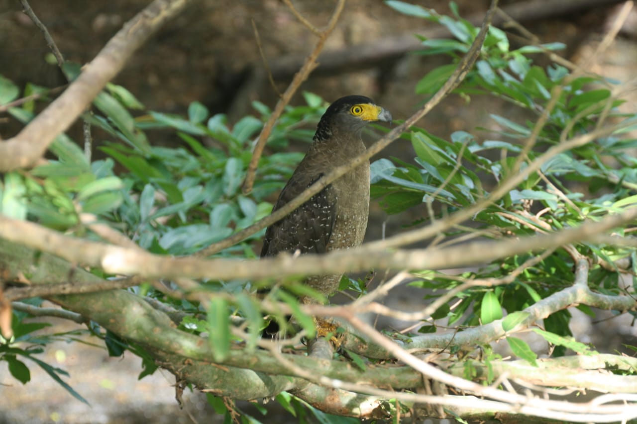 WhatsApp-Image-2024-12-28-at-20.14.10