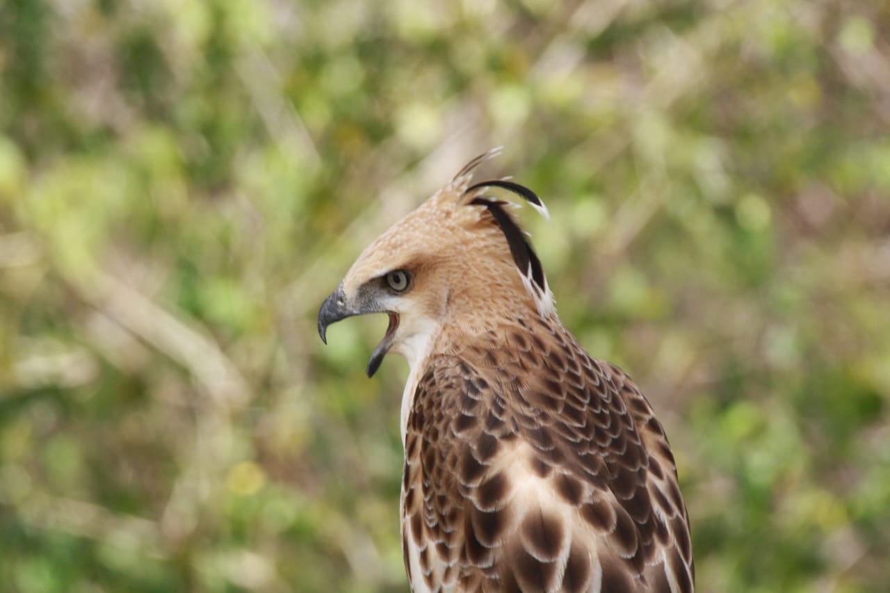 WhatsApp-Image-2024-12-28-at-20.14.29