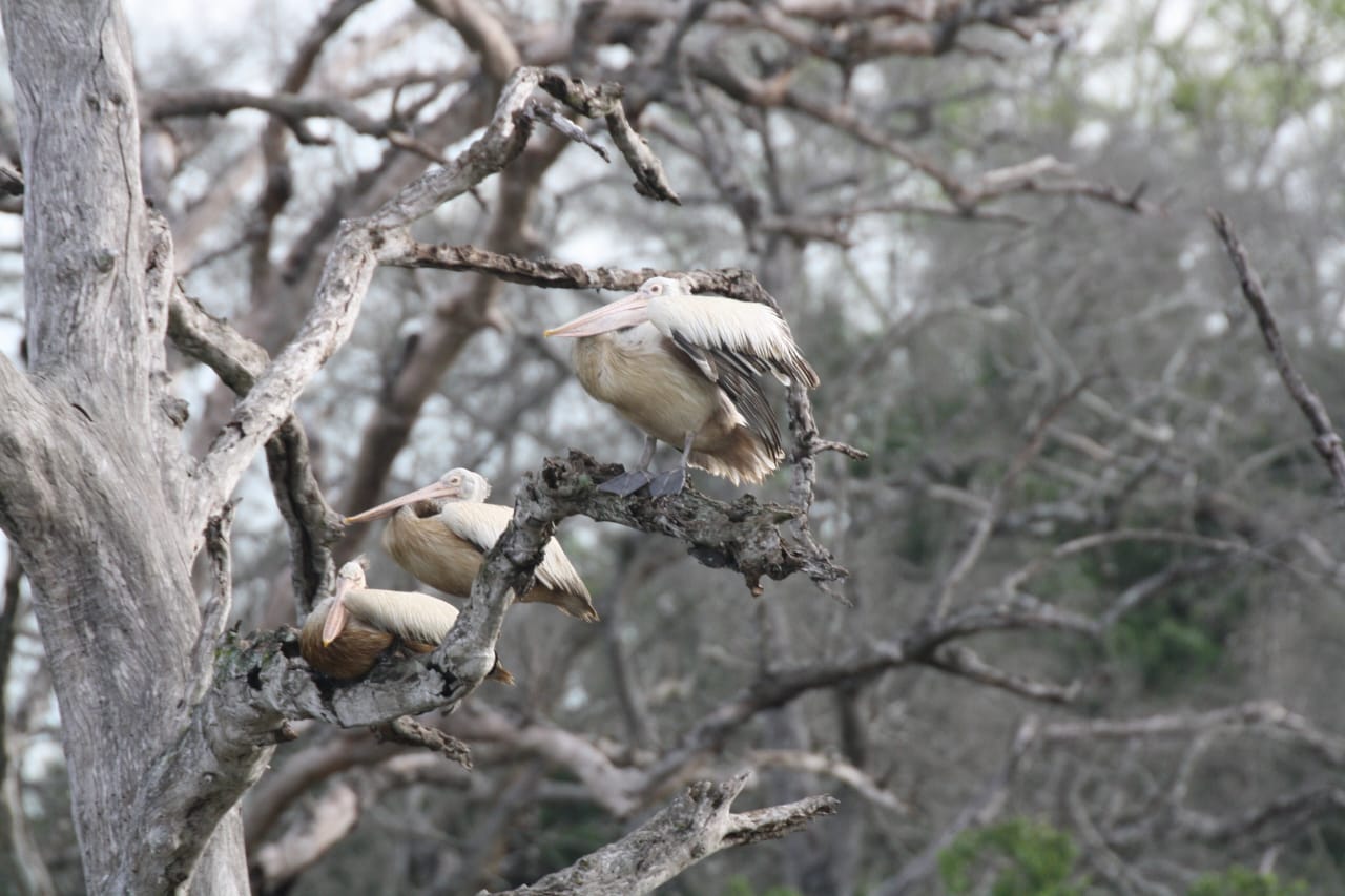 WhatsApp-Image-2024-12-28-at-20.14.49